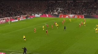 Oct-19-2025 07-04-06.gif